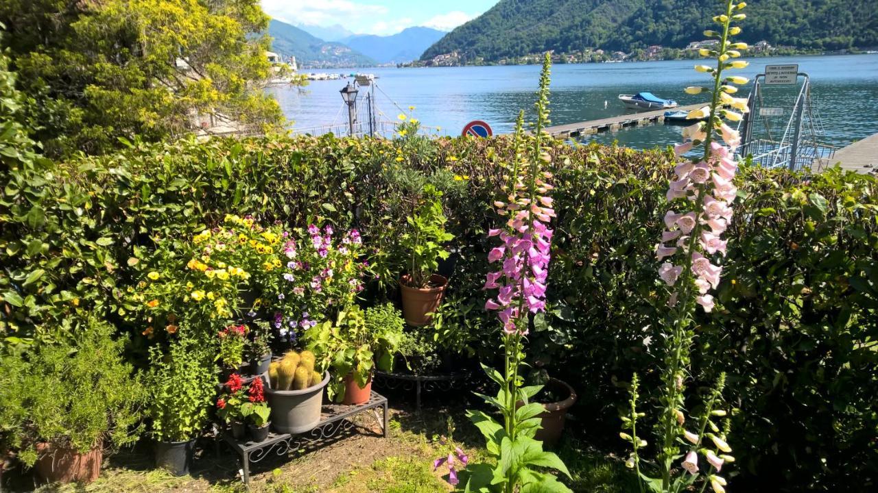 Apartment Lac Brusimpiano *