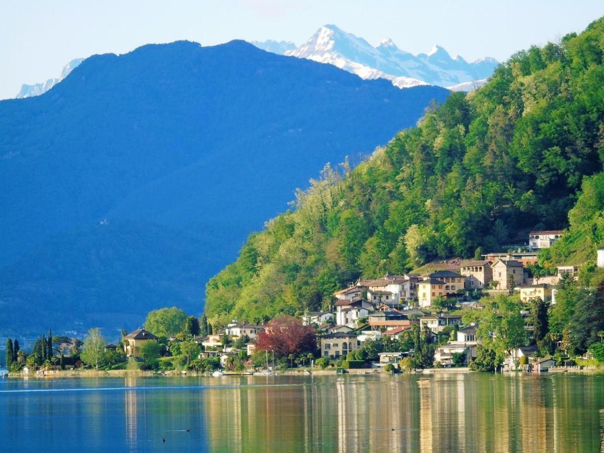 Apartment Apartment Lac Brusimpiano Brusimpiano