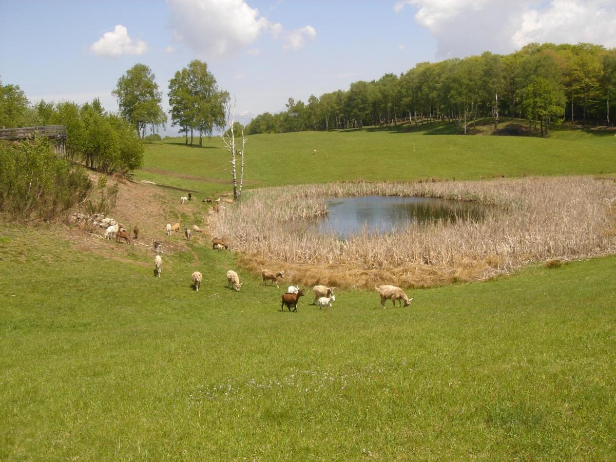 Apartment Lac Brusimpiano